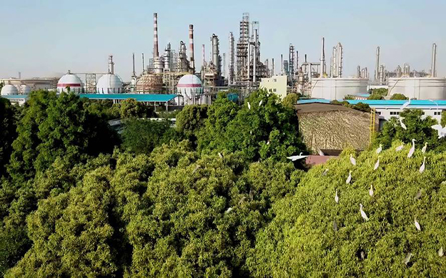 6c6a2b6de040e27a95634370831539ce 拷贝